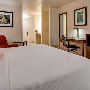 King Room Roll Shower Disability Access or Non-Smoking